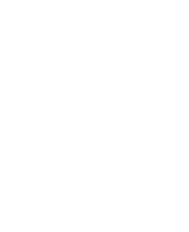 light logo